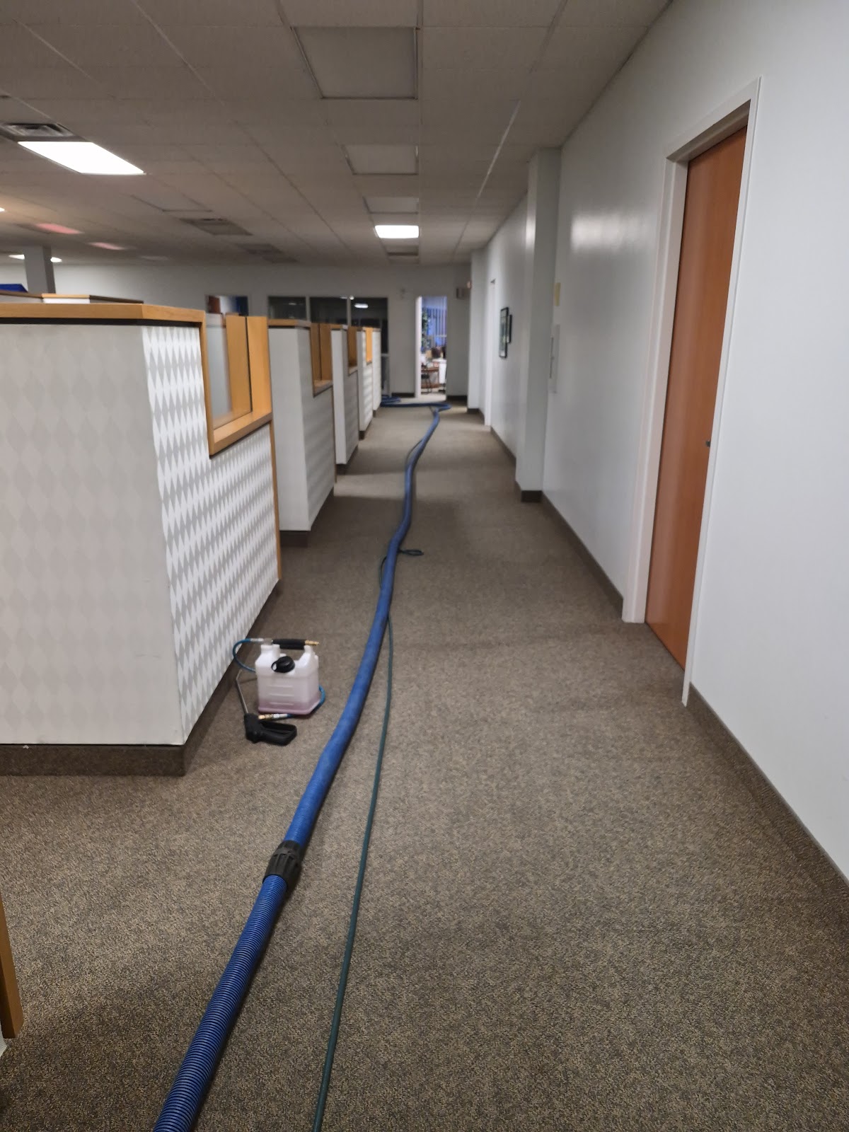 Deep Clean Services-Carpet Cleaning Windsor work sample 1