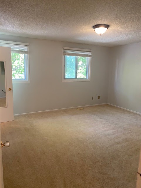 Carpet Cleaning Mississauga
