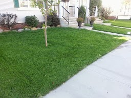 Weed Patrol Lawn Care