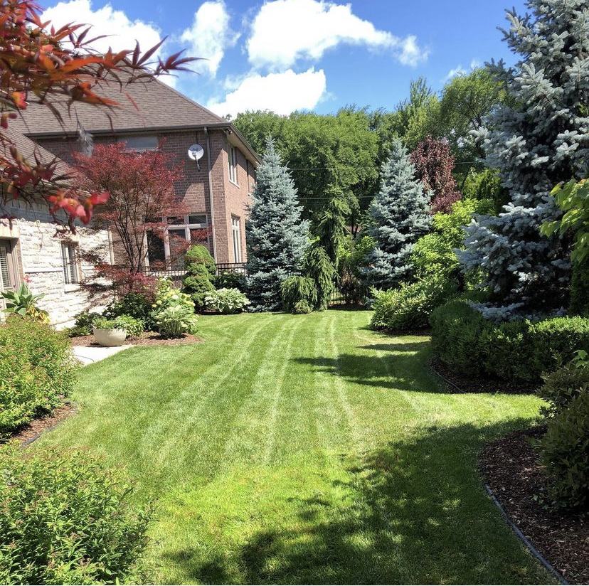 Urban Effects Lawn Care work sample 1