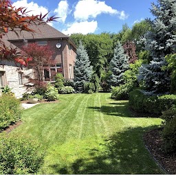 Urban Effects Lawn Care