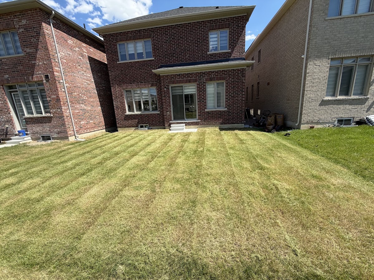 LawnCare Guys