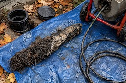 Delex Plumbing and Drains