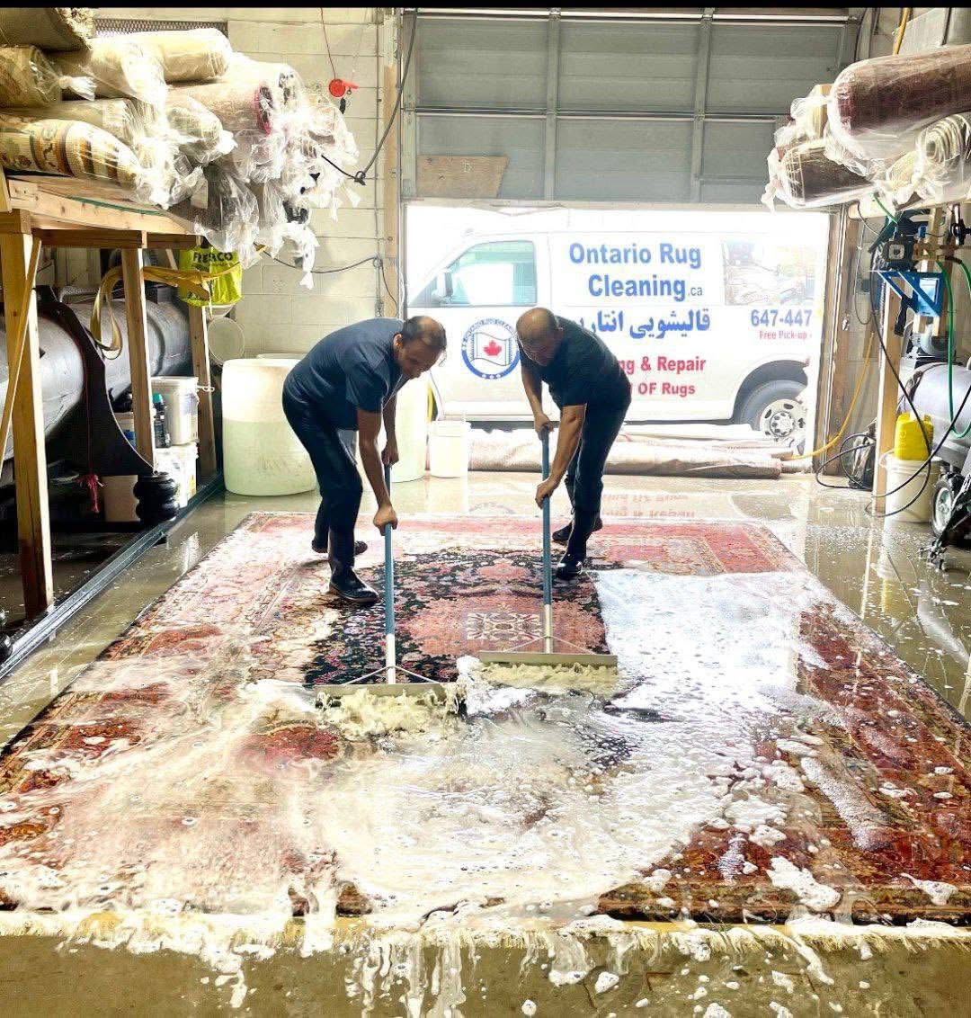 Ontario Rug cleaning work sample 1