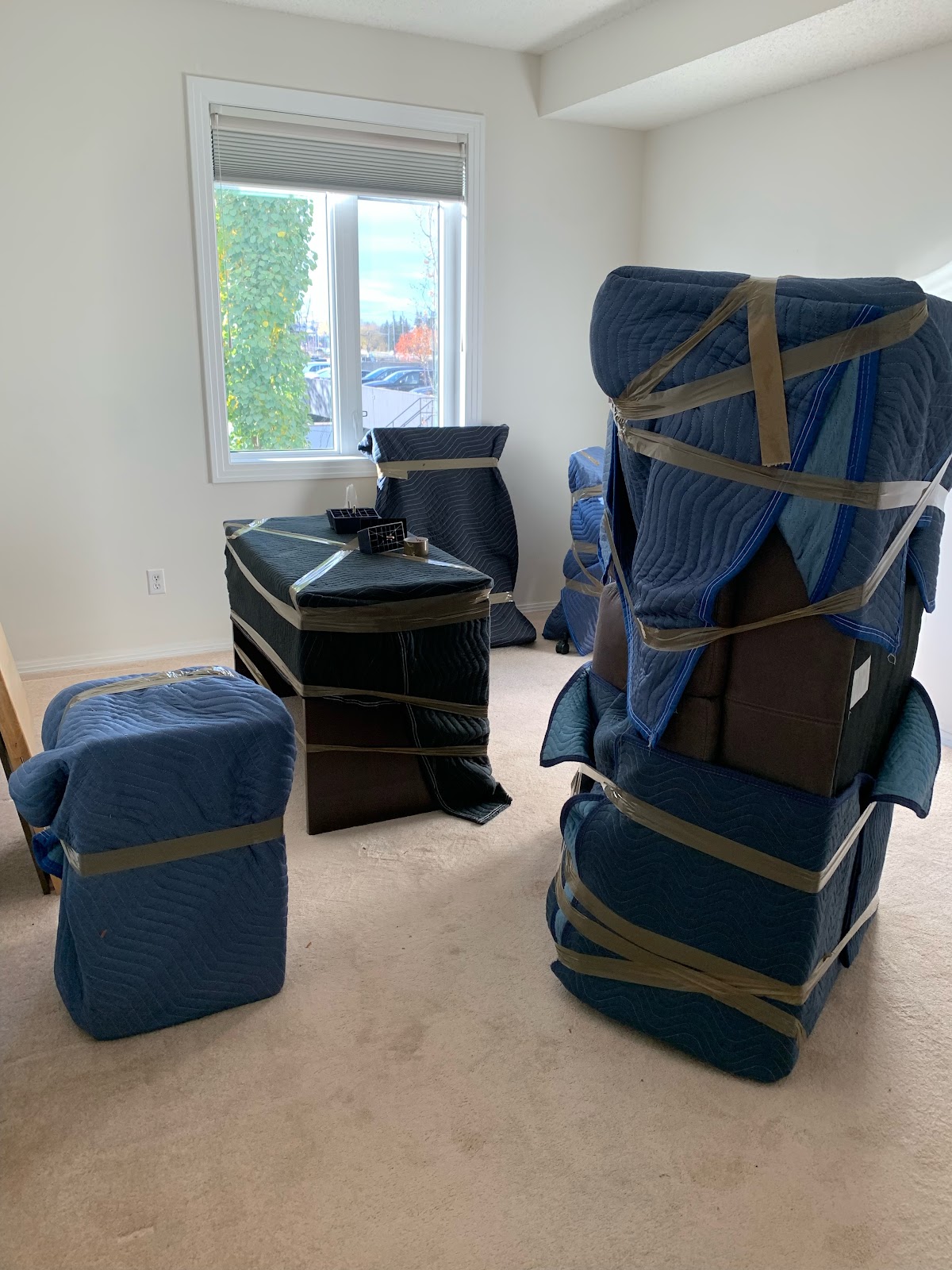Edmonton Affordable Moving work sample 1