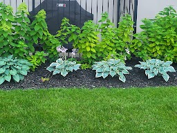 Wynter Landscaping and Handyman Mississauga