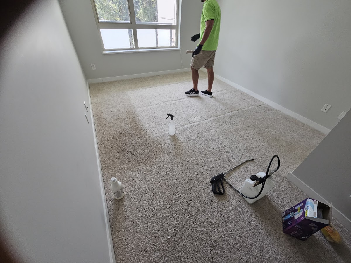 GreenWorks Carpet and floor Care work sample 1
