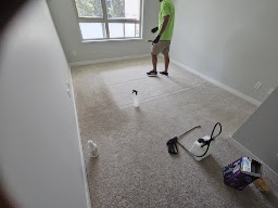 GreenWorks Carpet and floor Care