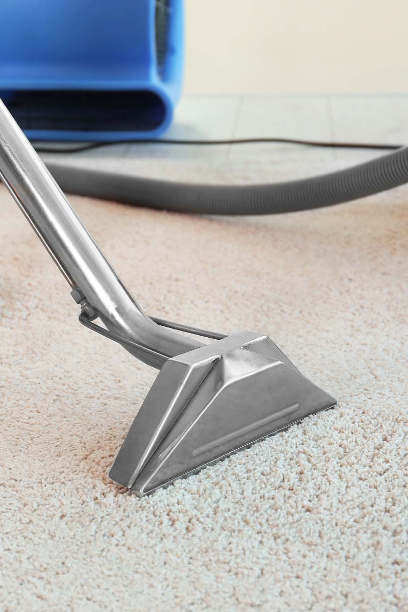 SmithWerks Carpet and Upholstery Cleaning work sample 1