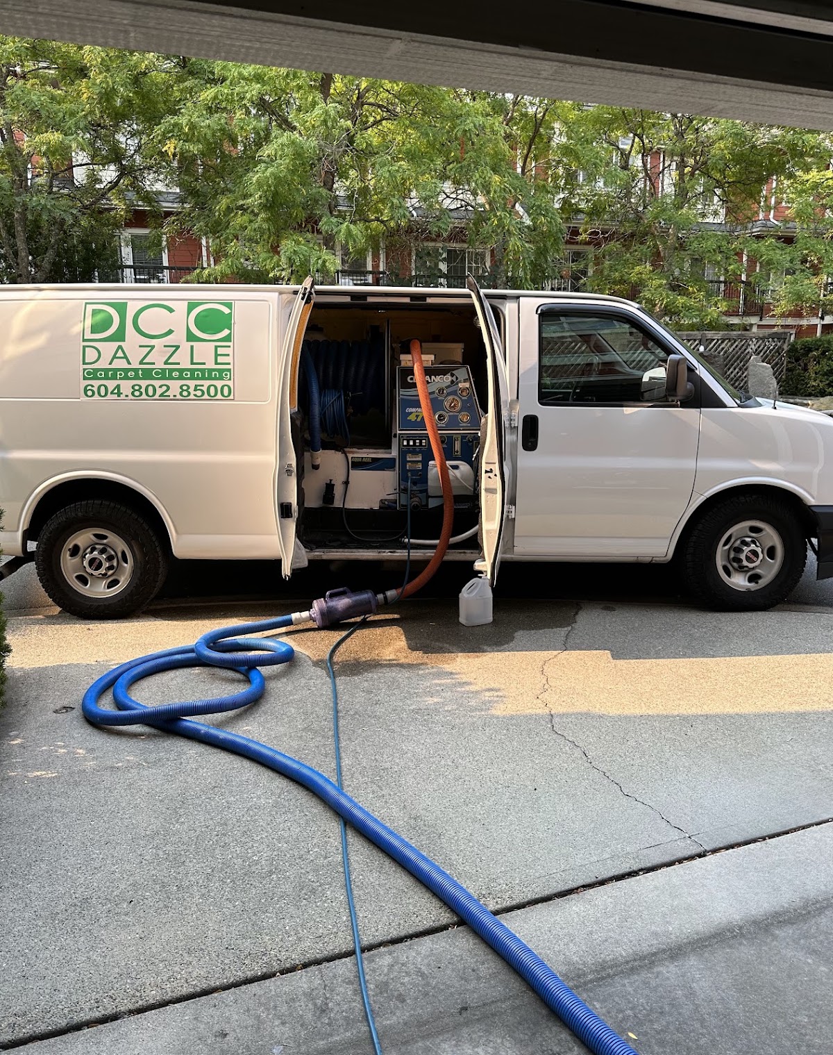 Dazzle Carpet Cleaning Vancouver work sample 1