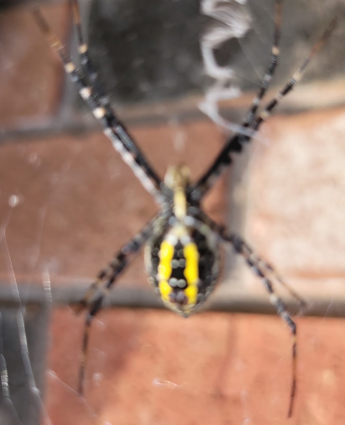 A One Pest Control Inc.