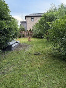 Fresh shine lawn service