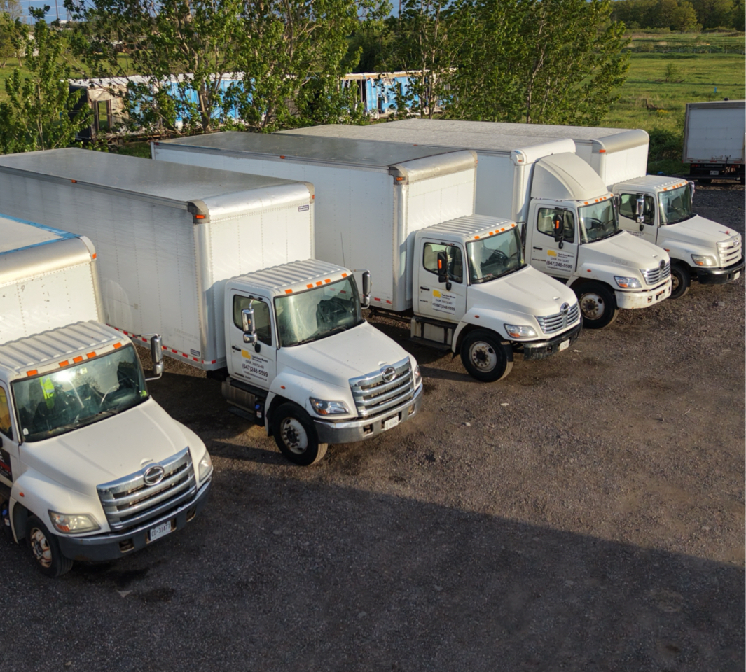 Task Force Movers Inc