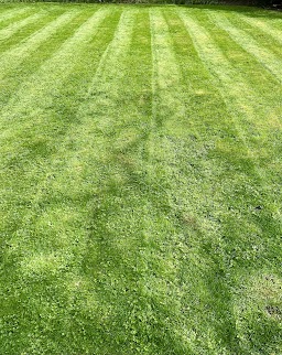 The Vancouver Lawn Care Crew