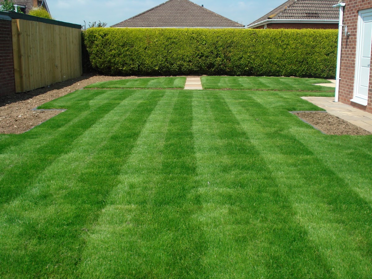 Mow Town Edmonton work sample 1
