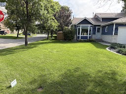 Grassman Weed & Feed