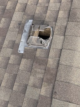 Aura Pest & Wildlife Control Inc.