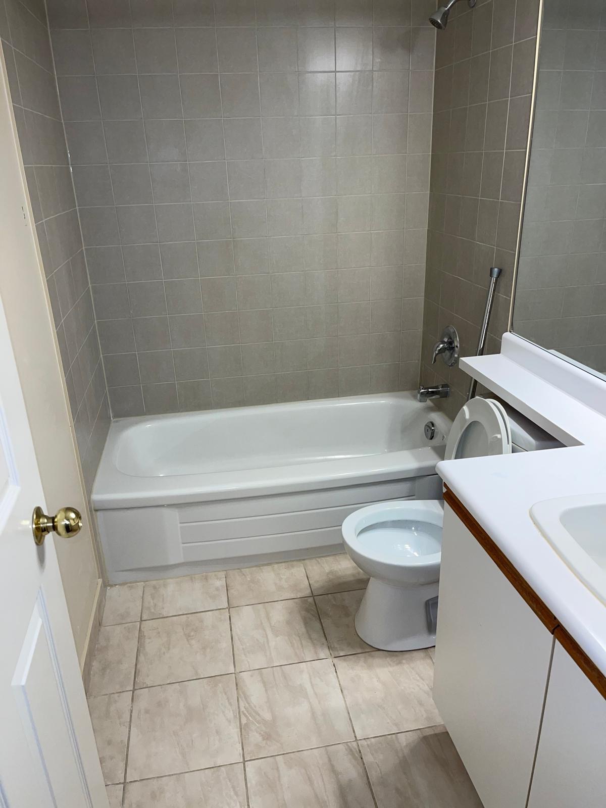 Longividade Cleaning Inc.