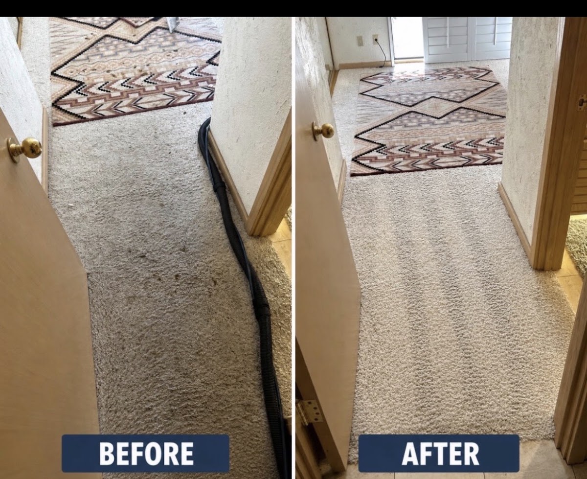 let’s get carpet clean