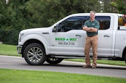 Weed Away Lawn Care