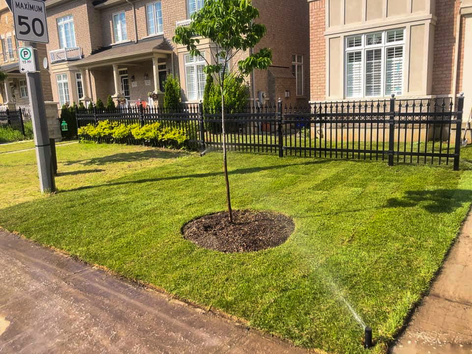 M.S. Lawn & Garden