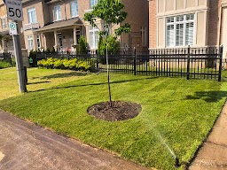 M.S. Lawn & Garden