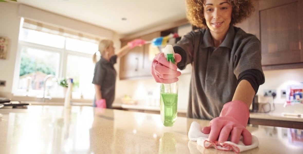 Wholesome House Cleaning Services