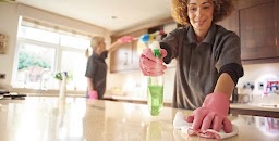 Wholesome House Cleaning Services