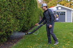 Insight Pest Solutions