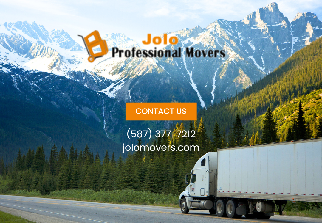 JOLO Professional Movers work sample 1
