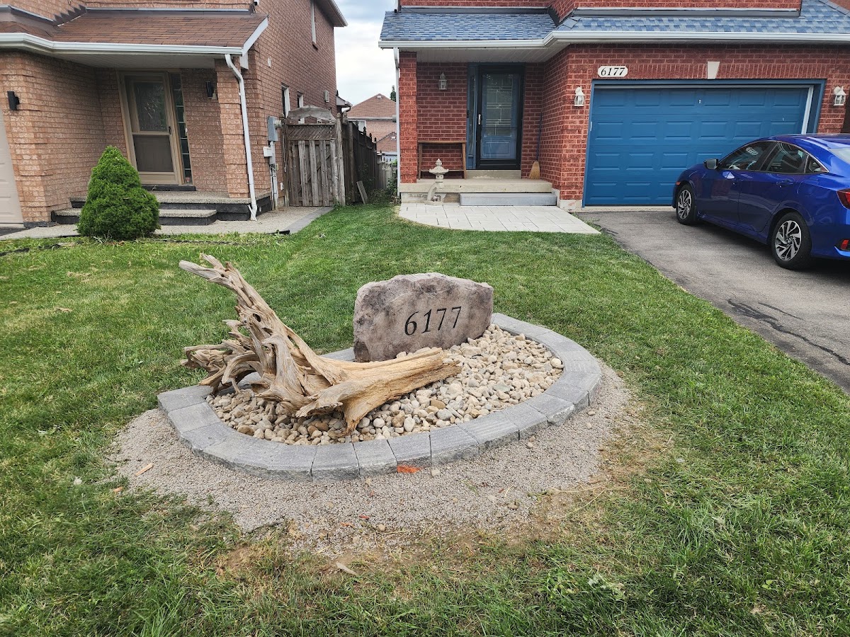 MPR Landscapes
