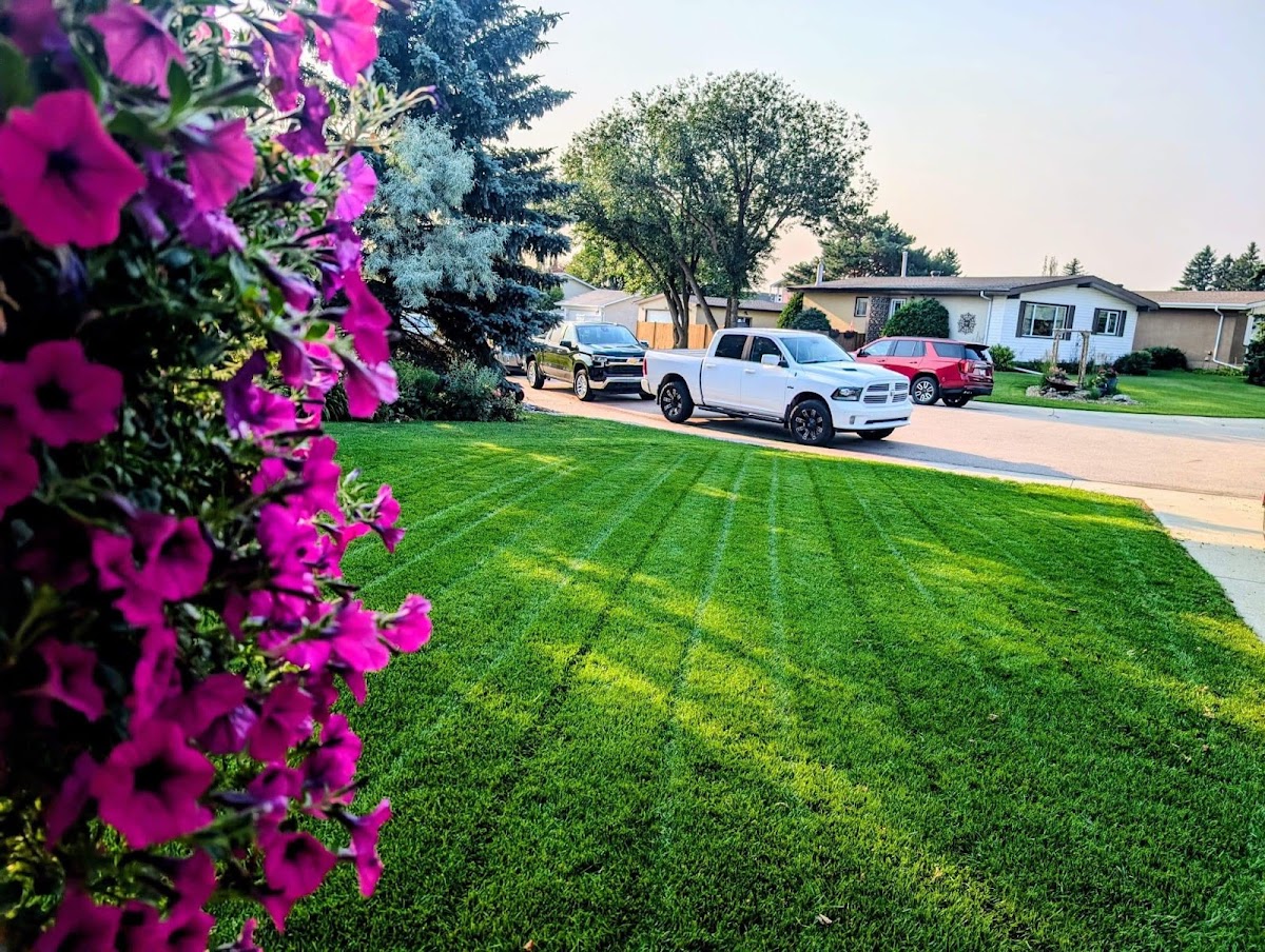 iBIN Lawn Care & Weed Control work sample 1
