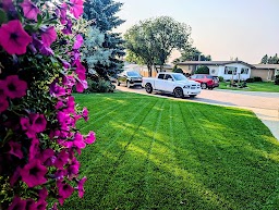 iBIN Lawn Care & Weed Control