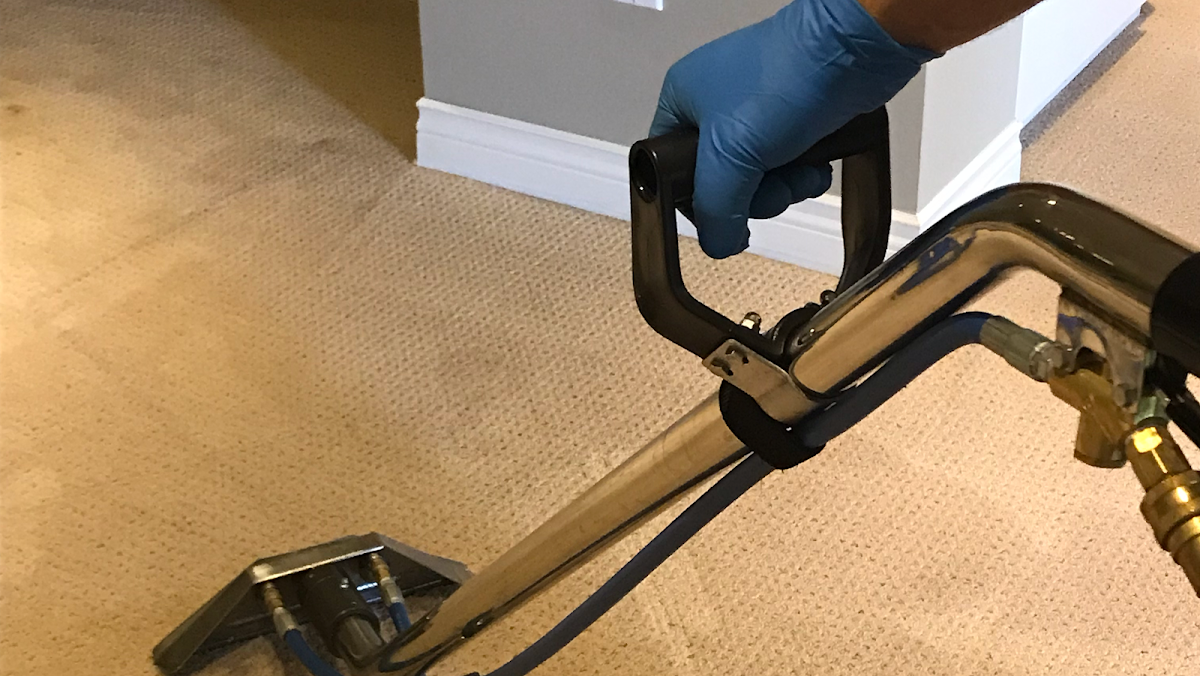 OneStop Carpet & Upholstery Cleaning work sample 1