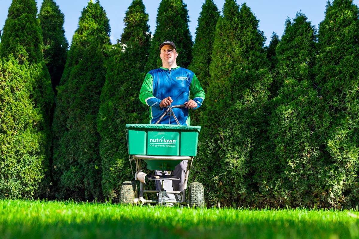 Nutri-Lawn - Vancouver Lawn Care work sample 1