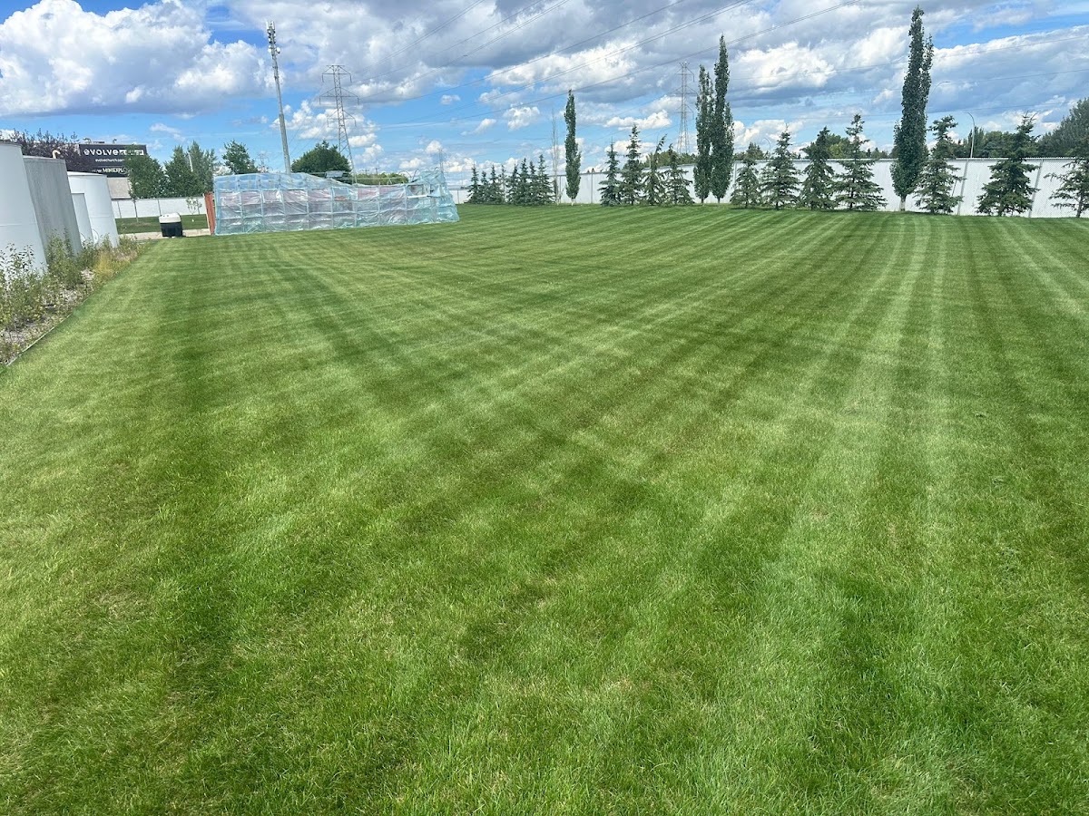 White 'N Green Inc work sample 1