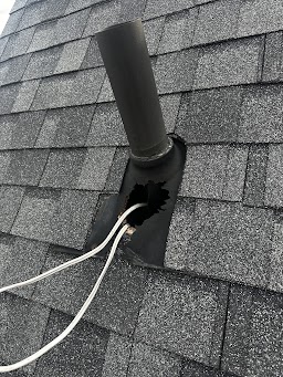 Wise Pest Solutions