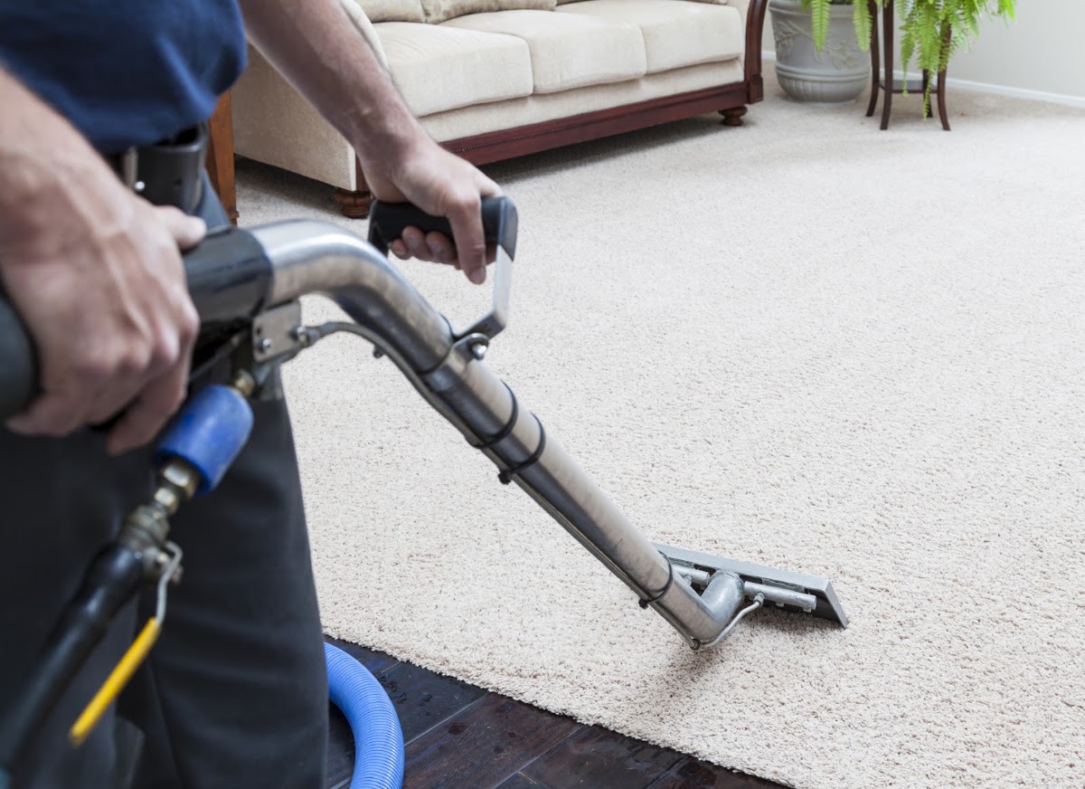 Citrus Carpet Cleaners work sample 1