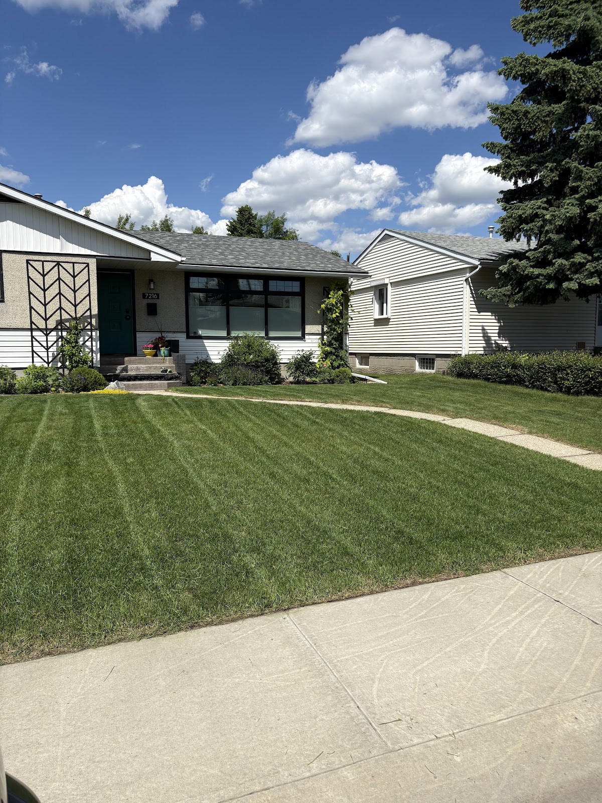Eazy Lawn Pros work sample 1