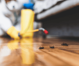 GottaGo Pest Control