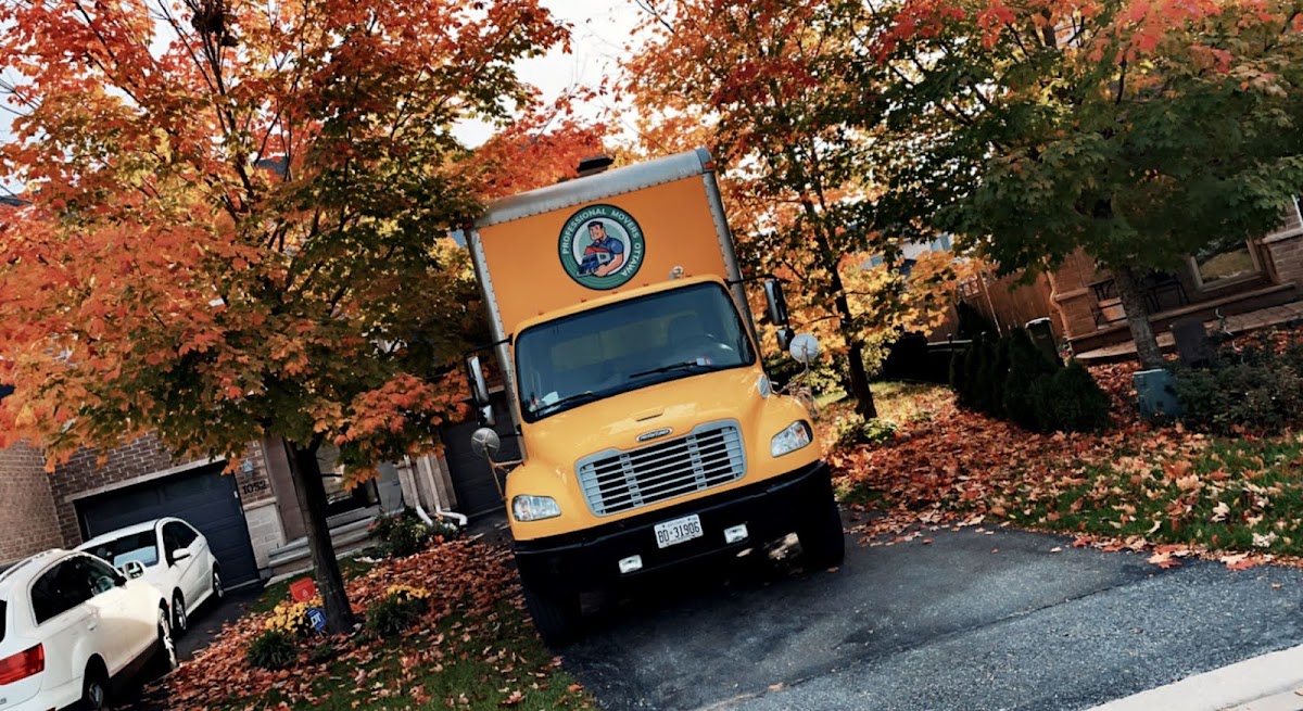 Professional Movers Toronto work sample 1