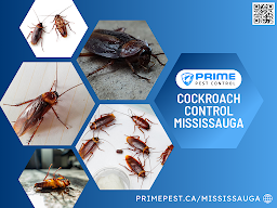 Prime Pest Control Mississauga