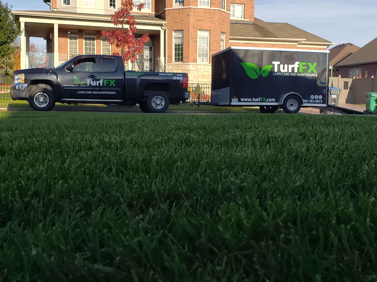 Turf FX Lawn Care