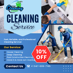 The Cleaning Expert