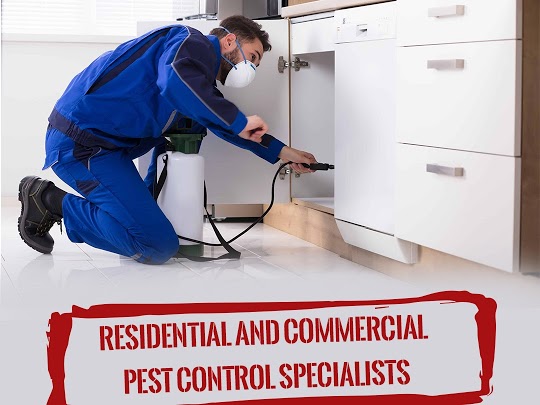 Acme Pest Solutions Brampton