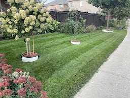AVD Landscaping & Snow Removal