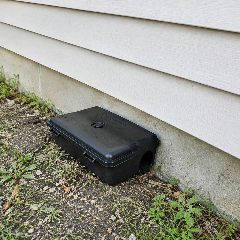 Green Heat Bed Bugs Exterminators