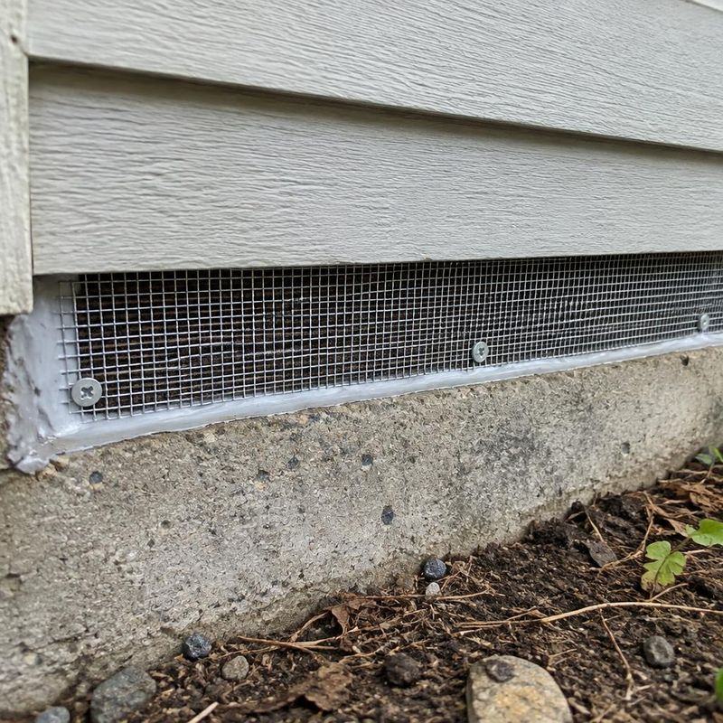 Top Choice Pest Control | Pest Control Services in Barrie & Ants Pest Control in Barrie, Pest Control Services in Toronto
