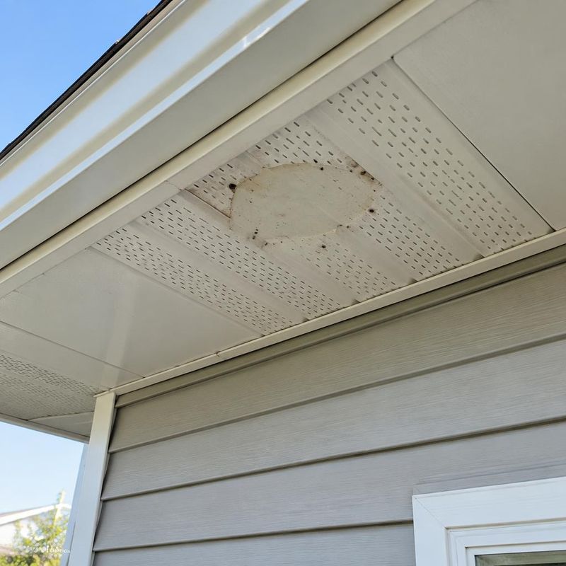 Edmonton Pest Control business