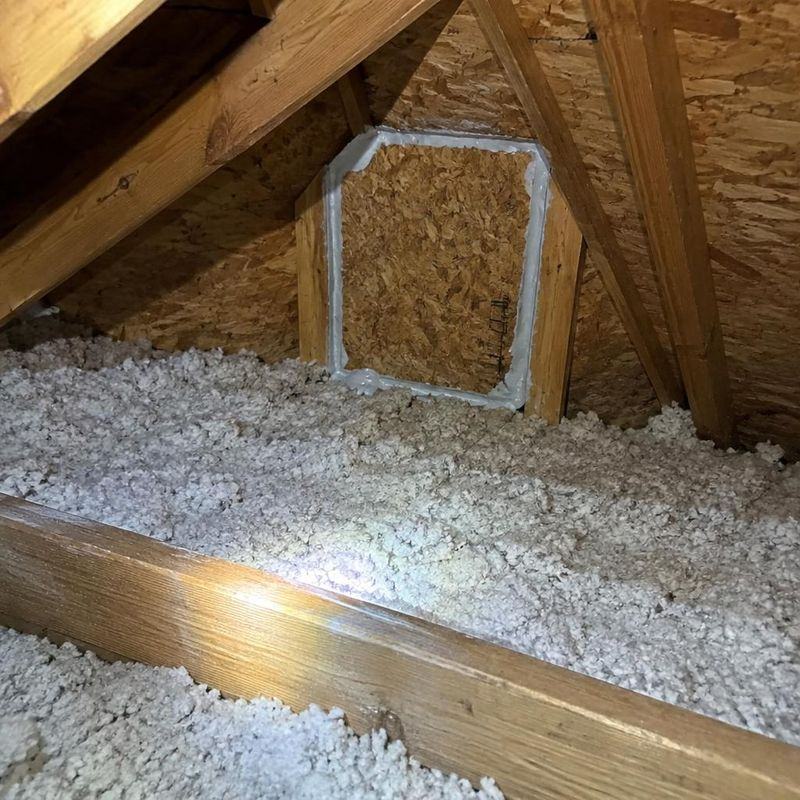 Wise Pest Solutions